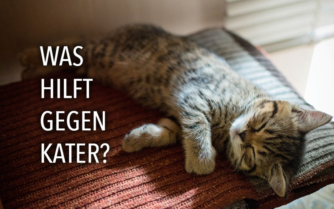 Was hilft gegen Kater?