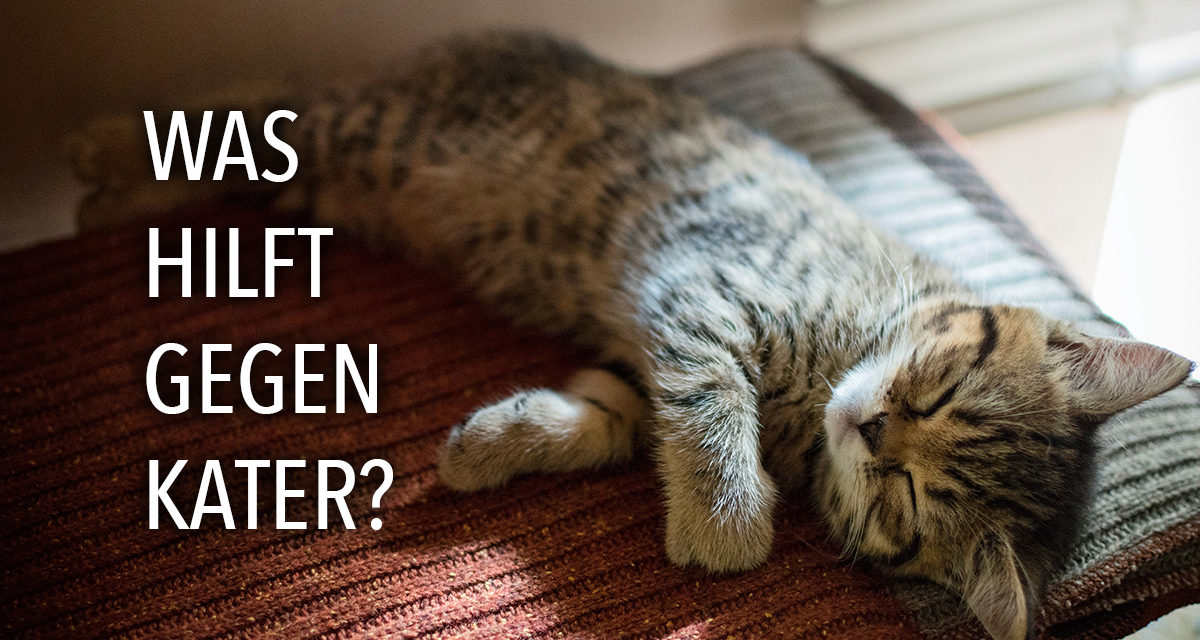 Was hilft gegen Kater?